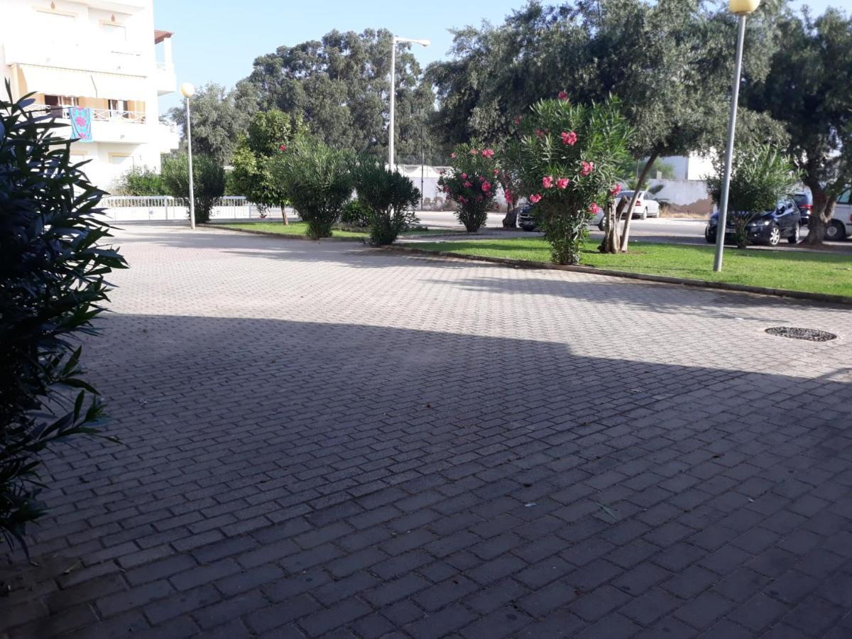 Alfamar Falesia Algarve With Pool Fantastic Apartamento *